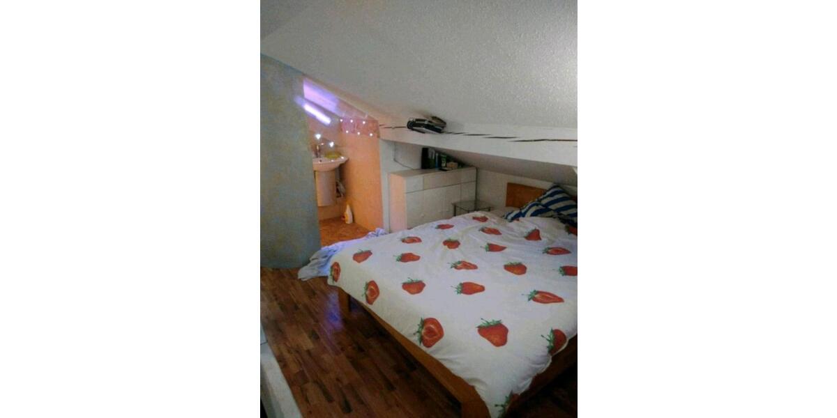 Dachgeschoßwohnung Dingolfing - 1.5 Zimmer, 45 m&sup2;, 490&euro; | Angebot:26038507