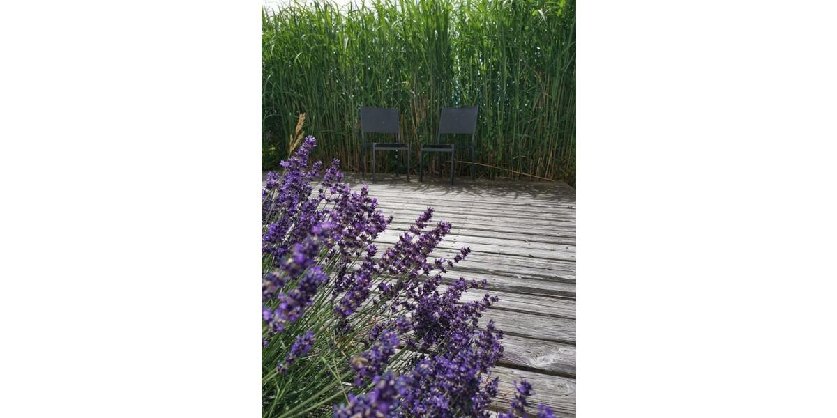 Wohnen auf Zeit Mindelheim - 5 Zimmer, 135 m&sup2;, 4.000&euro; | Angebot:25921051