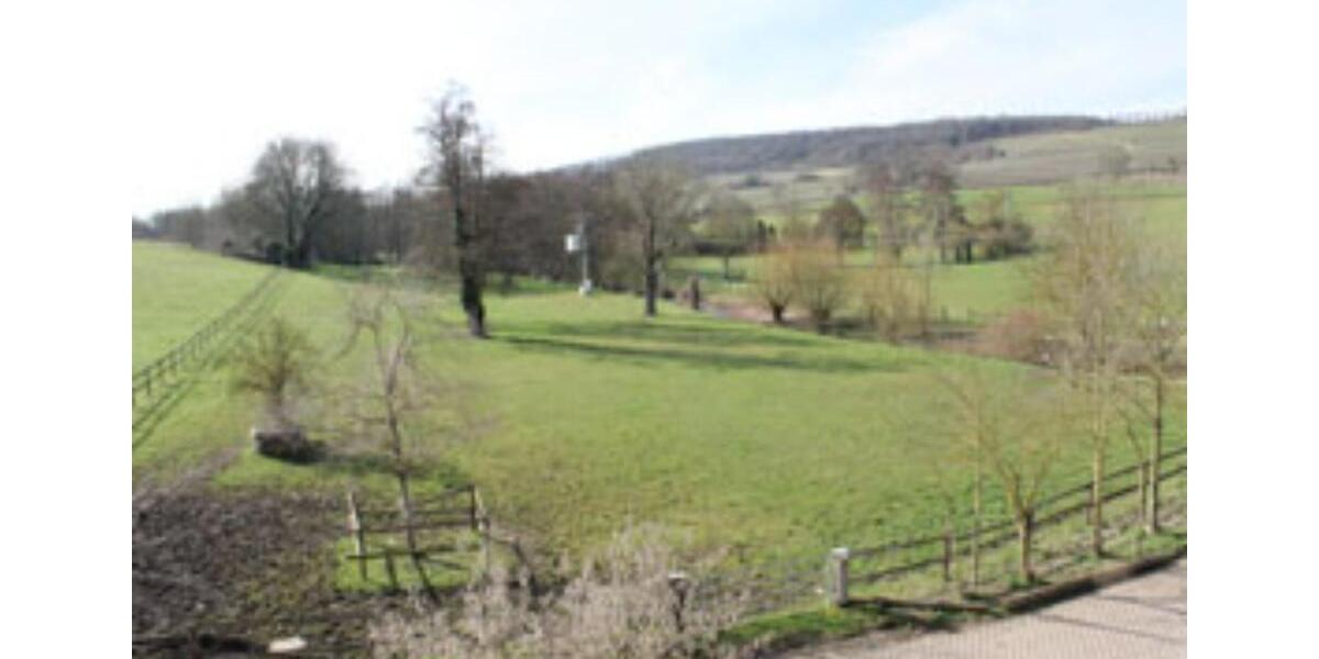 Dachgeschosswohnung in der Eulenmühle in Ingelheim 2 zimmer