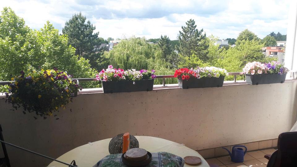 Etagenwohnung Hanau Groß-Steinheim - 1 Zimmer, 40 m&sup2;, 450&euro; | Angebot:24322276