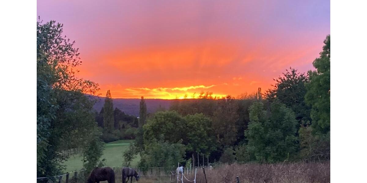 Wohnen auf Zeit Bad Münder am Deister - 1 Zimmer, 32 m&sup2;, 500&euro; | Angebot:25378824