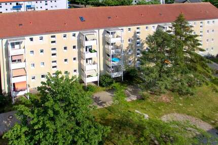 Wohnung Wolgast Wolgast Nord - 2 Zimmer, 49 m&sup2;, 252&euro; | Angebot:24829421