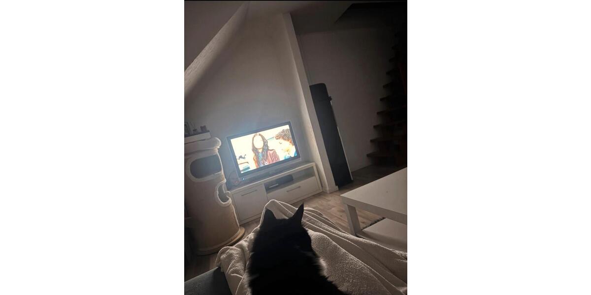 Dachgeschoßwohnung Kirchardt - 2 Zimmer, 42 m&sup2;, 660&euro; | Angebot:24295254