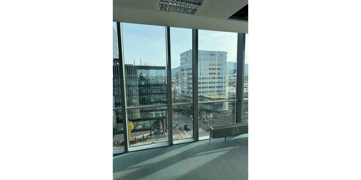 Gewerbeobjekt Freiburg im Breisgau Altstadt - 1 Zimmer, 249 m&sup2;, 4.100&euro; | Angebot:25706366