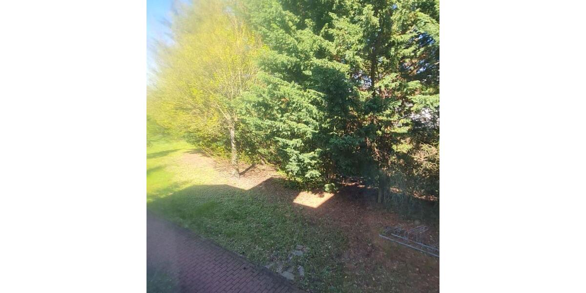 Etagenwohnung Coswig (Anhalt) - 2 Zimmer, 45 m&sup2;, 327&euro; | Angebot:26581922