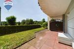 Großzügige Terrasse & viel Grün: Helle Souterrainwohnung 3 zimmer