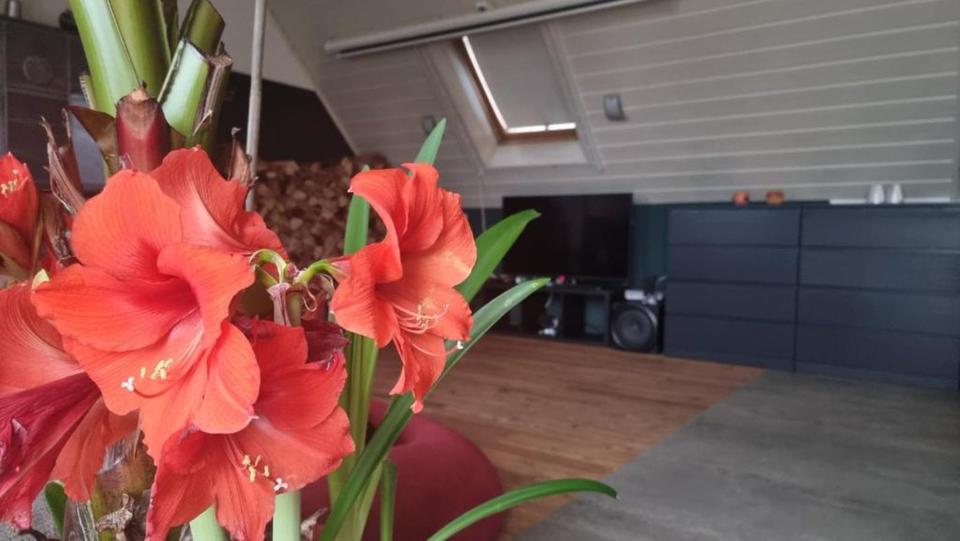 Wohnen auf Zeit Nidda - 2 Zimmer, 55 m&sup2;, 500&euro; | Angebot:24755192