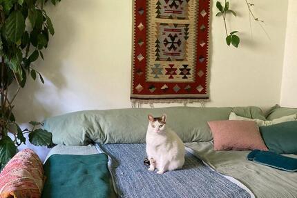 Wohnen auf Zeit Seefeld - 2 Zimmer, 30 m&sup2;, 450&euro; | Angebot:24664505