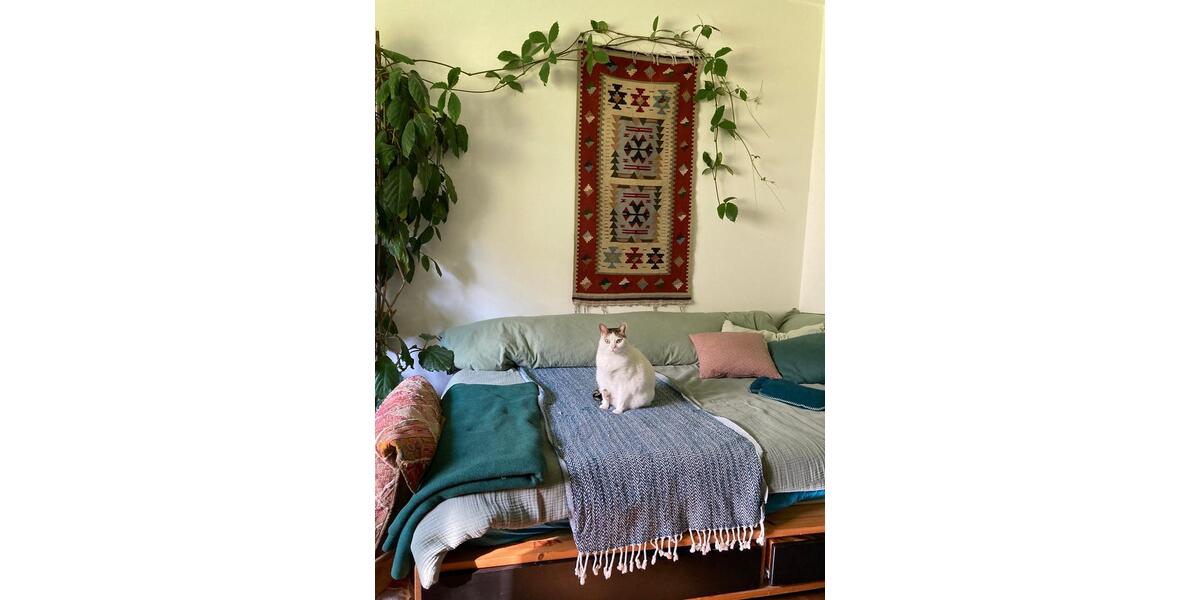 Wohnen auf Zeit Seefeld - 2 Zimmer, 30 m&sup2;, 450&euro; | Angebot:24664505