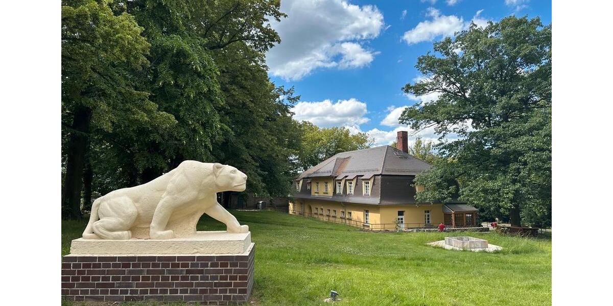 Erdgeschoßwohnung Grimma - 2 Zimmer, 820&euro; | Angebot:23331080