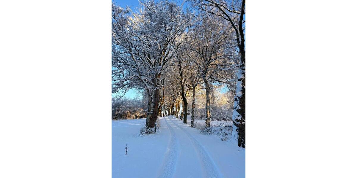 Einfamilienhaus Ulsnis - 2 Zimmer, 55 m&sup2;, 1.100&euro; | Angebot:24708360