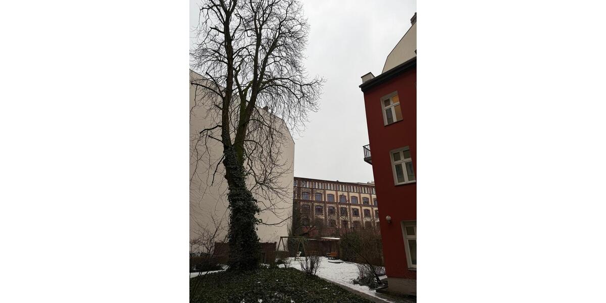 Erdgeschoßwohnung Berlin Mitte - 2 Zimmer, 71 m&sup2;, 2.300&euro; | Angebot:24878384