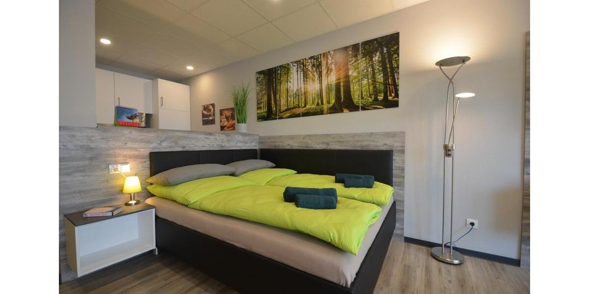 Etagenwohnung Offenbach am Main - 1 Zimmer, 43 m&sup2;, 1.250&euro; | Angebot:12974861