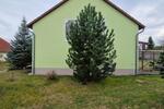 Einfamilienhaus Bad Belzig - 5 Zimmer, 158 m&sup2;, 1.700&euro; | Angebot:26443482