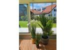 Wohnen auf Zeit Andechs - 3 Zimmer, 55 m&sup2;, 75&euro; | Angebot:26606959