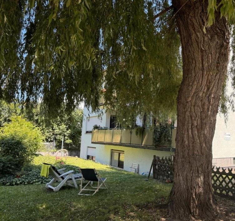 Vollständig renovierte, möblierte Wohnung in Heidelberg zu vermie