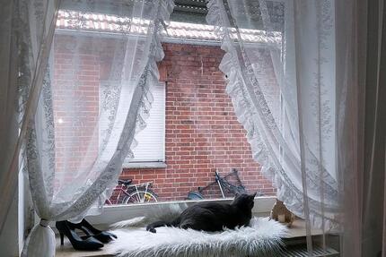 Wohnen auf Zeit Kirchdorf - 1 Zimmer, 20 m&sup2;, 123&euro; | Angebot:25398586