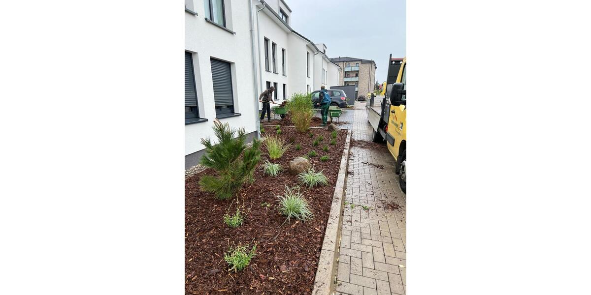 Terrassenwohnung Waren (Müritz) - 2 Zimmer, 64 m&sup2;, 890&euro; | Angebot:26234127
