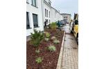 Terrassenwohnung Waren (Müritz) - 2 Zimmer, 64 m&sup2;, 890&euro; | Angebot:26234127