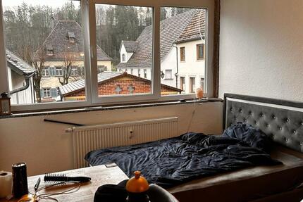 Wohnen auf Zeit Haigerloch - 1 Zimmer, 20 m&sup2;, 340&euro; | Angebot:26135239