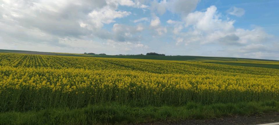 Erdgeschoßwohnung Polch - 2.5 Zimmer, 58 m&sup2;, 575&euro; | Angebot:26169864