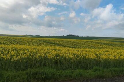 Wohnung Polch - 2.5 Zimmer, 58 m&sup2;, 575&euro; | Angebot:26169864