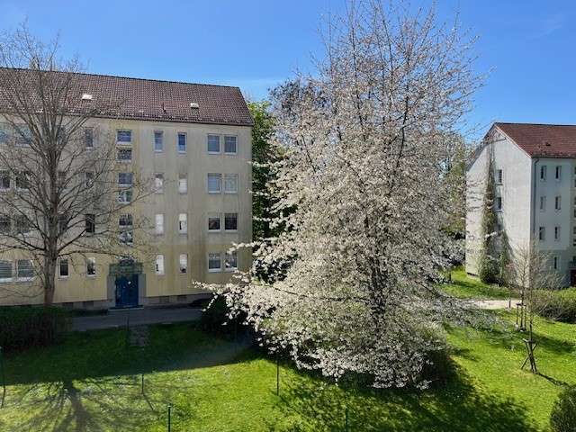 Etagenwohnung Zwickau Eckersbach E 1 - 1 Zimmer, 32 m&sup2;, 249&euro; | Angebot:26796009