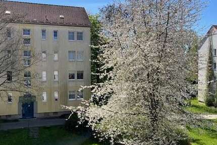 Wohnung Zwickau Eckersbach E 1 - 1 Zimmer, 32 m&sup2;, 249&euro; | Angebot:26796009