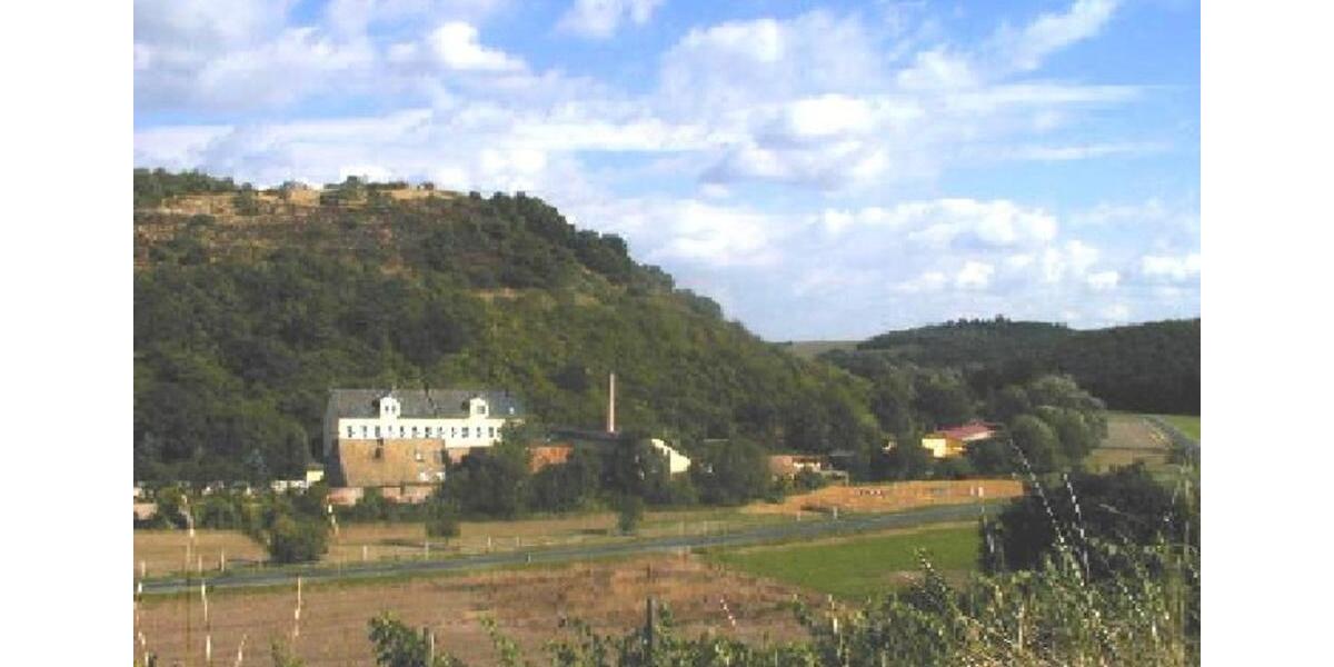 WOHNEN auf einem HOFGUT - in herrlicher Natur-Randlage gelegene 3-Zimmer-Studio-DG-Wohnung unweit Kurstadt 55543 Bad Kreuznach, A61 3 zimmer