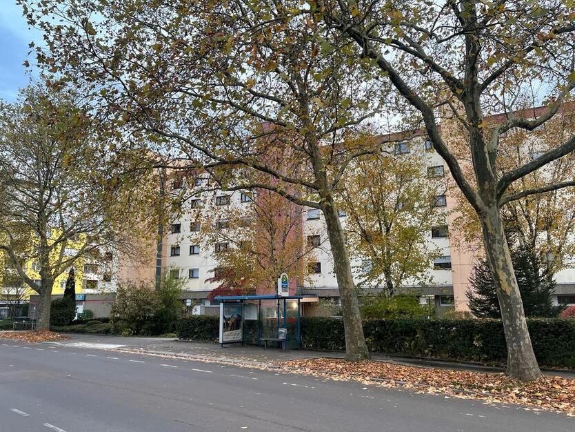 Schöne 3-Zimmer-Wohnung in Böckingen – frisch renoviert! zimmer