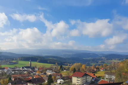 Wohnung Böbrach Maisried - 1 Zimmer, 30 m&sup2;, 450&euro; | Angebot:24684616