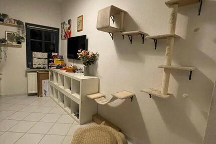 Wohnung Springe - 2 Zimmer, 52 m&sup2;, 650&euro; | Angebot:25421691