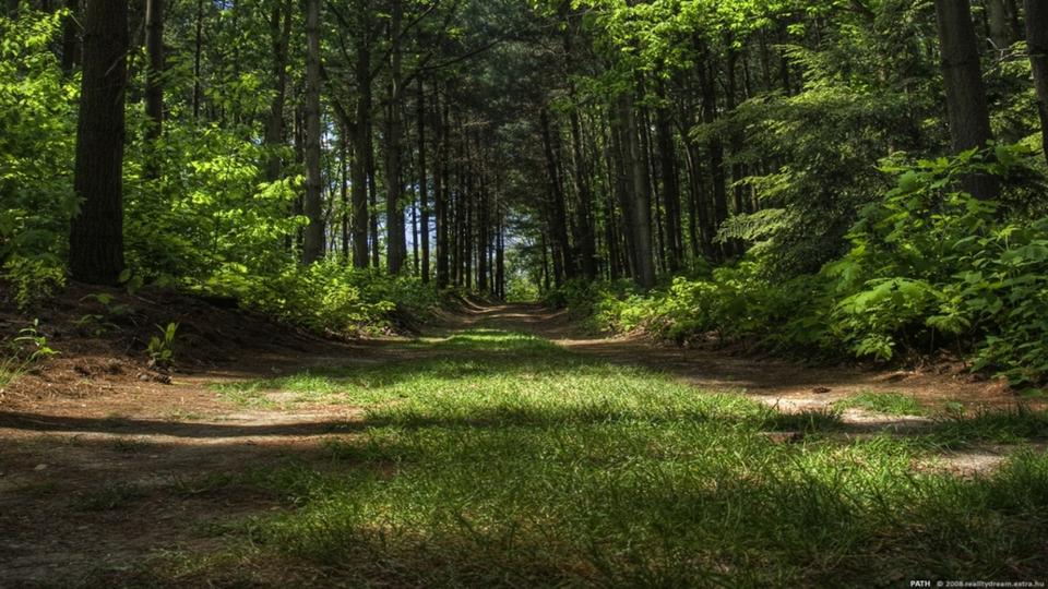 Wohnen auf Zeit Werne - 2 Zimmer, 50 m&sup2;, 17&euro; | Angebot:24470519