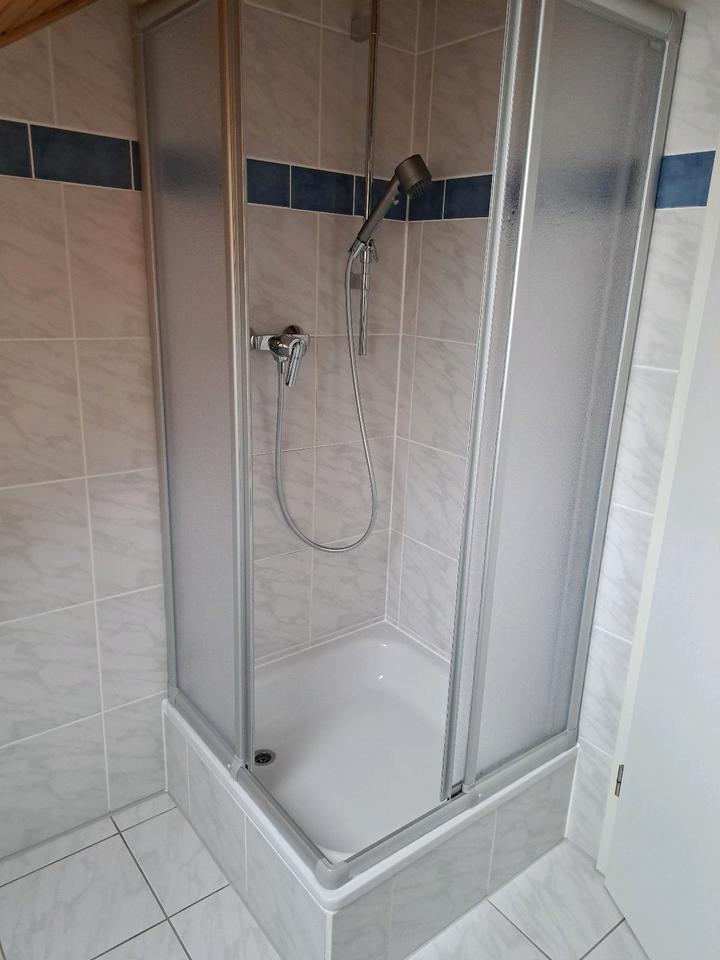 1 Zimmer-DG-Apartment, klimatisiert, neu renoviert, vollmöbliert,