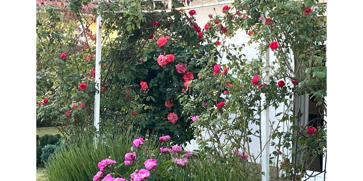 Einfamilienhaus Minden Kuhlenkamp - 5 Zimmer, 170 m&sup2;, 1.700&euro; | Angebot:25967737