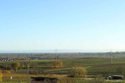 Haus zum Mieten in Frankweiler 1.450 € 160 m² 5 zimmer