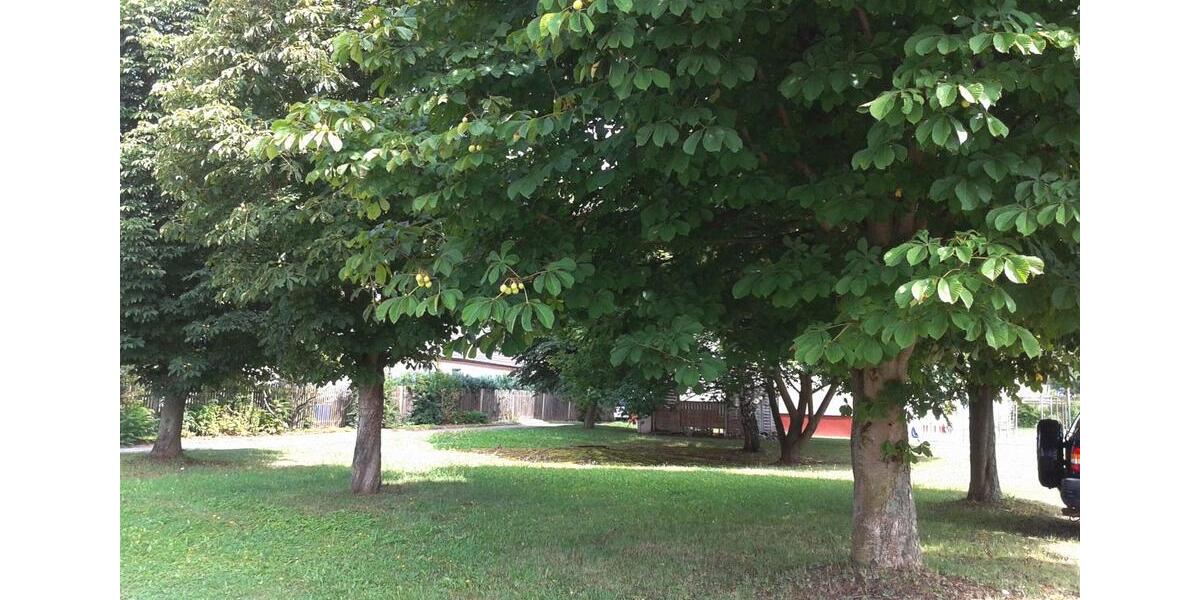 Etagenwohnung Sangerhausen - 1 Zimmer, 32 m&sup2;, 180&euro; | Angebot:26566184