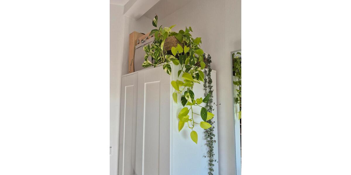 Wohnen auf Zeit Osnabrück Fledder - 5 Zimmer, 80 m&sup2;, 441&euro; | Angebot:25973580