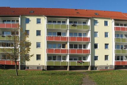 Wohnung Riesa Neuweida - 1 Zimmer, 41 m&sup2;, 348&euro; | Angebot:26637285