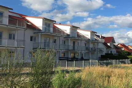 Wohnung zum Mieten in Gernsheim 1.220 € 100 m² 3 zimmer