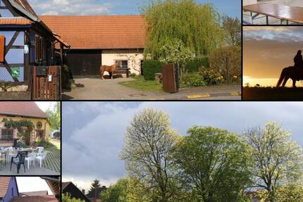 Zimmer im ElsassSchleithal tage- o. wochenweise zu vermieten 1 zimmer