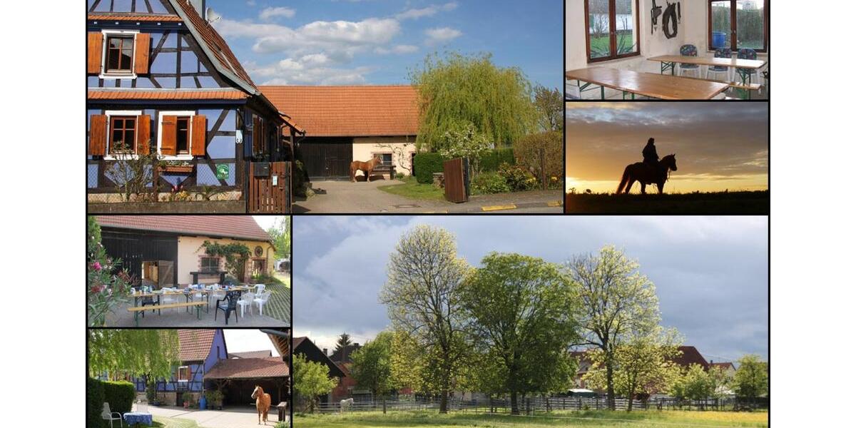 Zimmer im ElsassSchleithal tage- o. wochenweise zu vermieten 1 zimmer