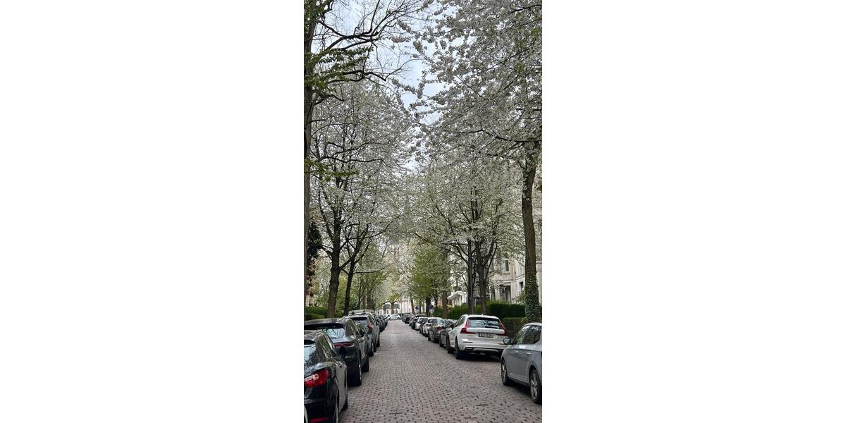 Etagenwohnung Wiesbaden Biebrich - 4 Zimmer, 125 m&sup2;, 1.800&euro; | Angebot:25711714