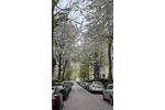 Etagenwohnung Wiesbaden Biebrich - 4 Zimmer, 125 m&sup2;, 1.800&euro; | Angebot:25711714
