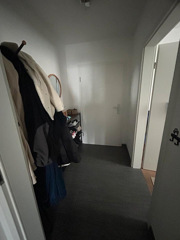 2,5 Zimmer Wohnung zimmer