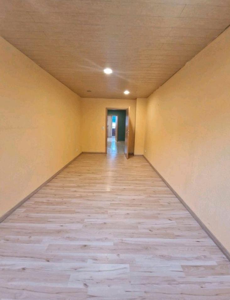 Wohnung mit Kamin und neuer Einbauküche