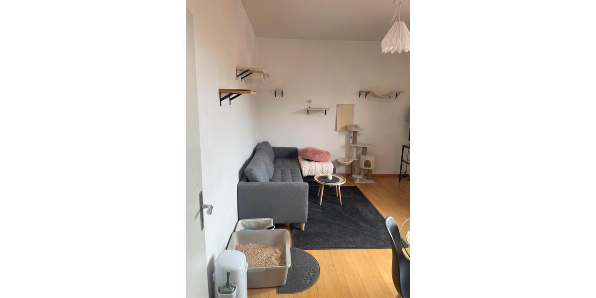Wohnen auf Zeit Oberkirch - 1 Zimmer, 2 m&sup2;, 510&euro; | Angebot:26595881