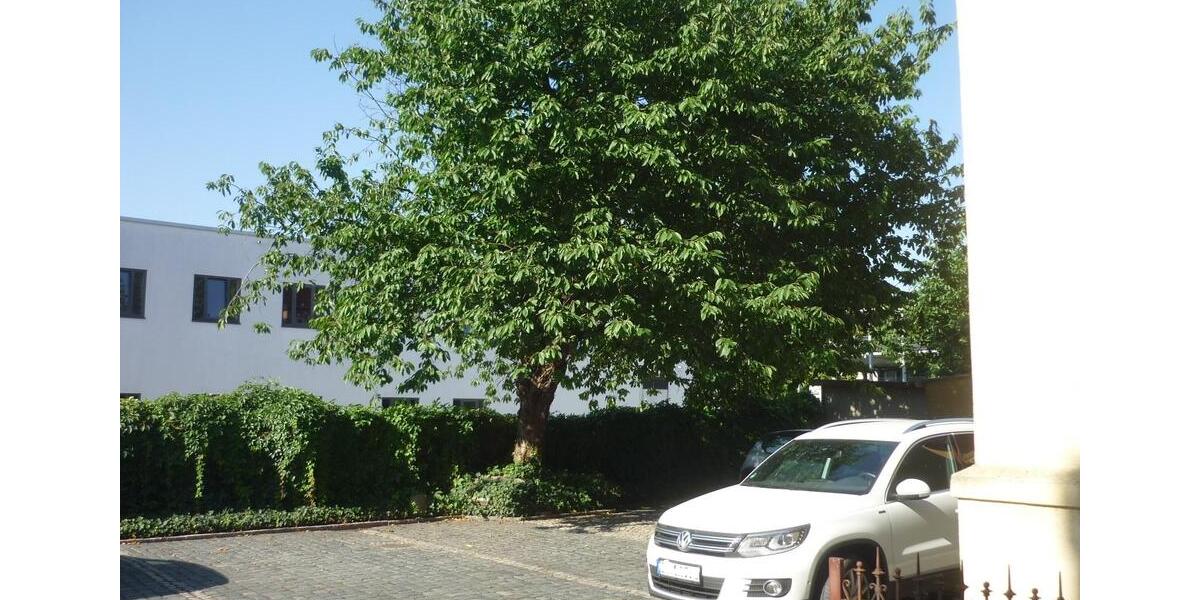 Dachgeschoßwohnung Bautzen - 1 Zimmer, 70 m&sup2;, 339&euro; | Angebot:25613083