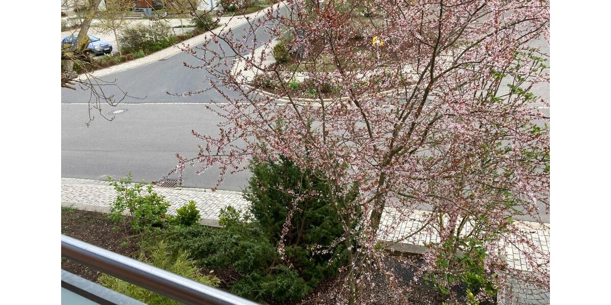 Etagenwohnung Ursensollen - 3 Zimmer, 90 m&sup2;, 810&euro; | Angebot:24838631