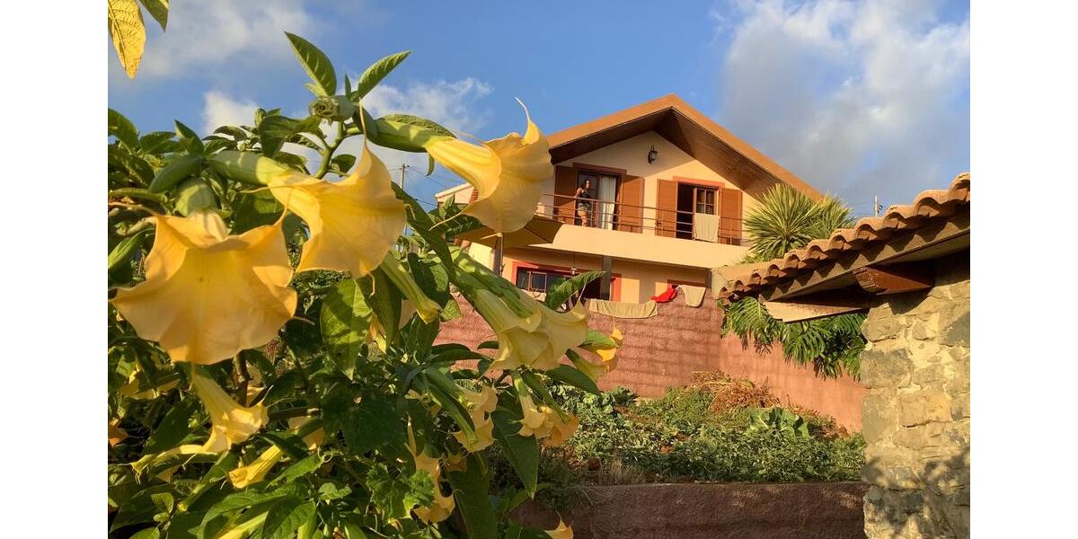 Etagenwohnung Trier Kürenz - 5 Zimmer, 100 m&sup2;, 1.200&euro; | Angebot:24438271